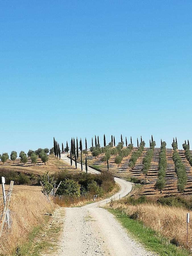 Podere Sant'Antonio Buonconvento Exterior photo